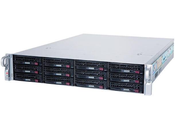 2U-12BAY-SERVER-80TB-RAW 2U 12 Bay Hot-swap Rackmount Server 